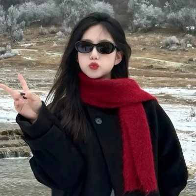 不死鸟之恋封面